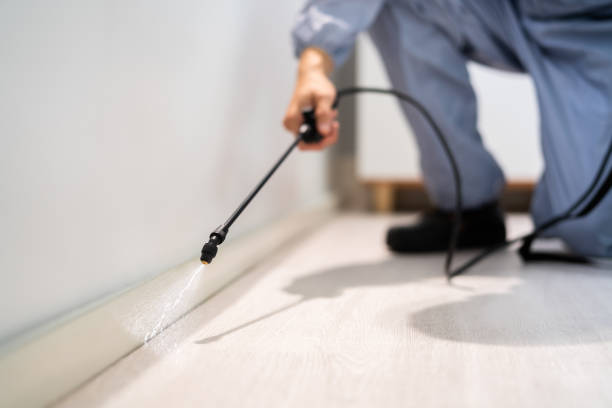 Licensed Pest Control service in West Chicago, IL - Show Me Pest Control